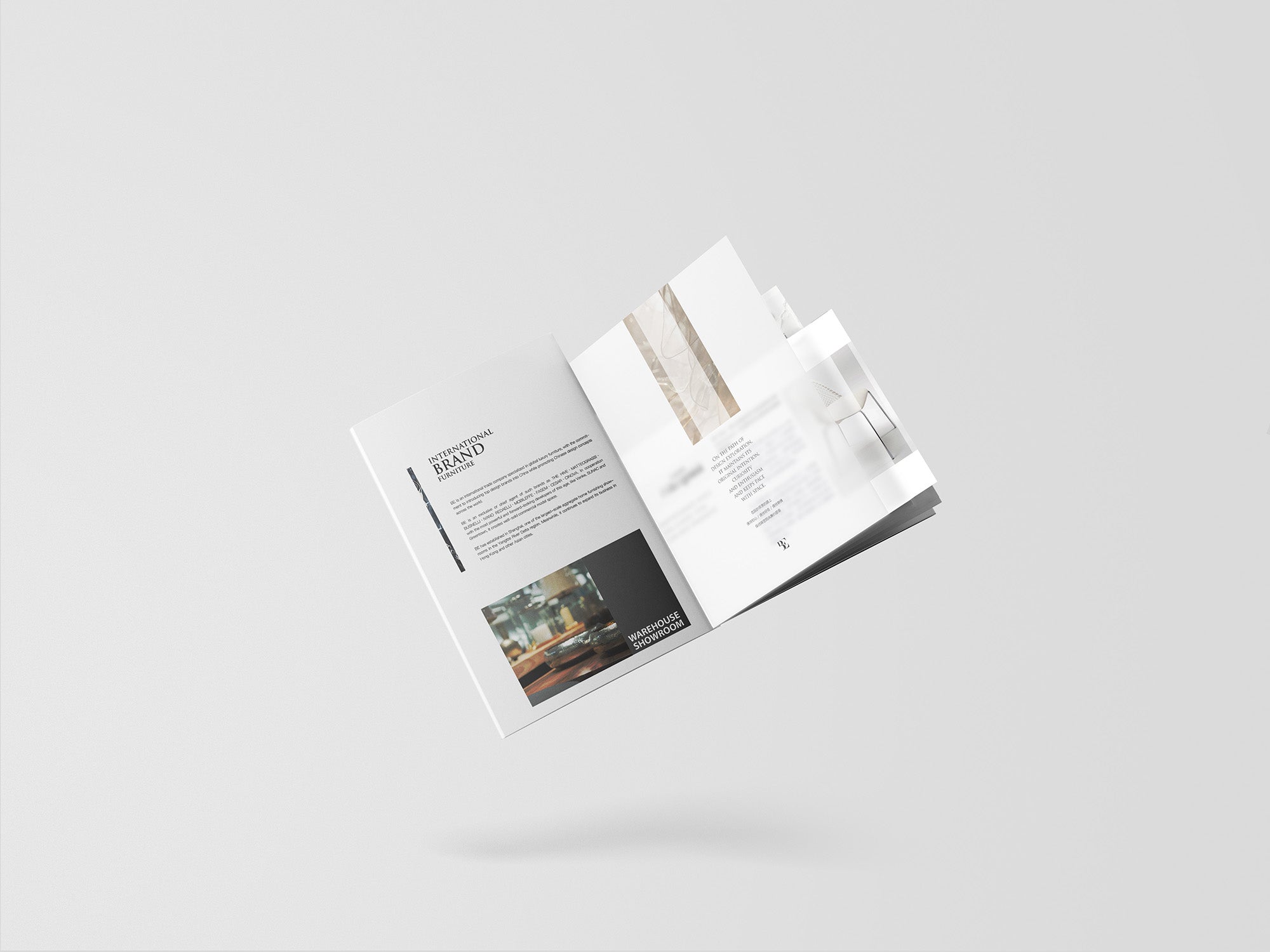 Brochure Design and Printing