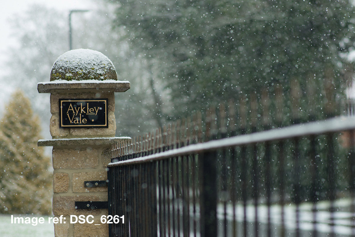 Copyright image - Snowing Day in Aykley Heads Durham