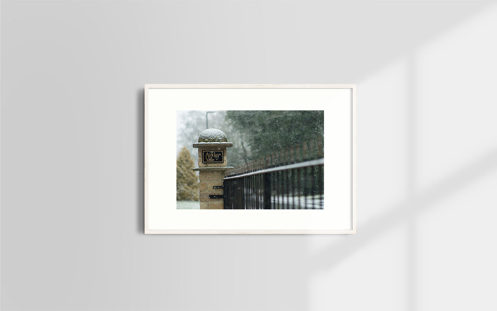 Copyright image - Snowing Day in Aykley Heads Durham