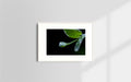 Copyright image - Plant Close-up 1